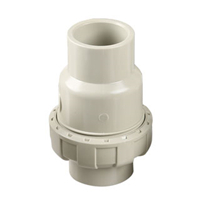 PPH Single Union Check Valve