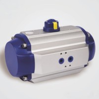 Pneumatic Actuator